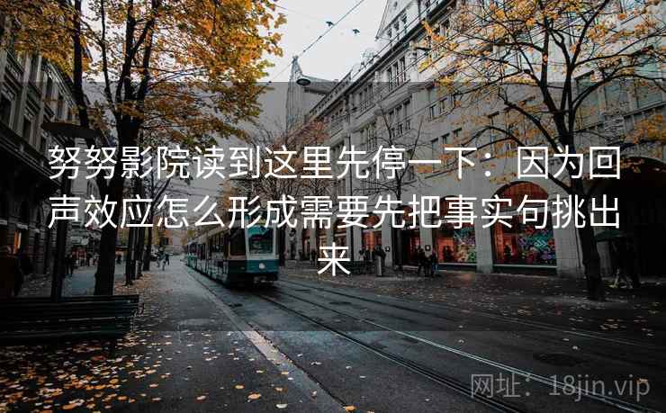 努努影院读到这里先停一下：因为回声效应怎么形成需要先把事实句挑出来